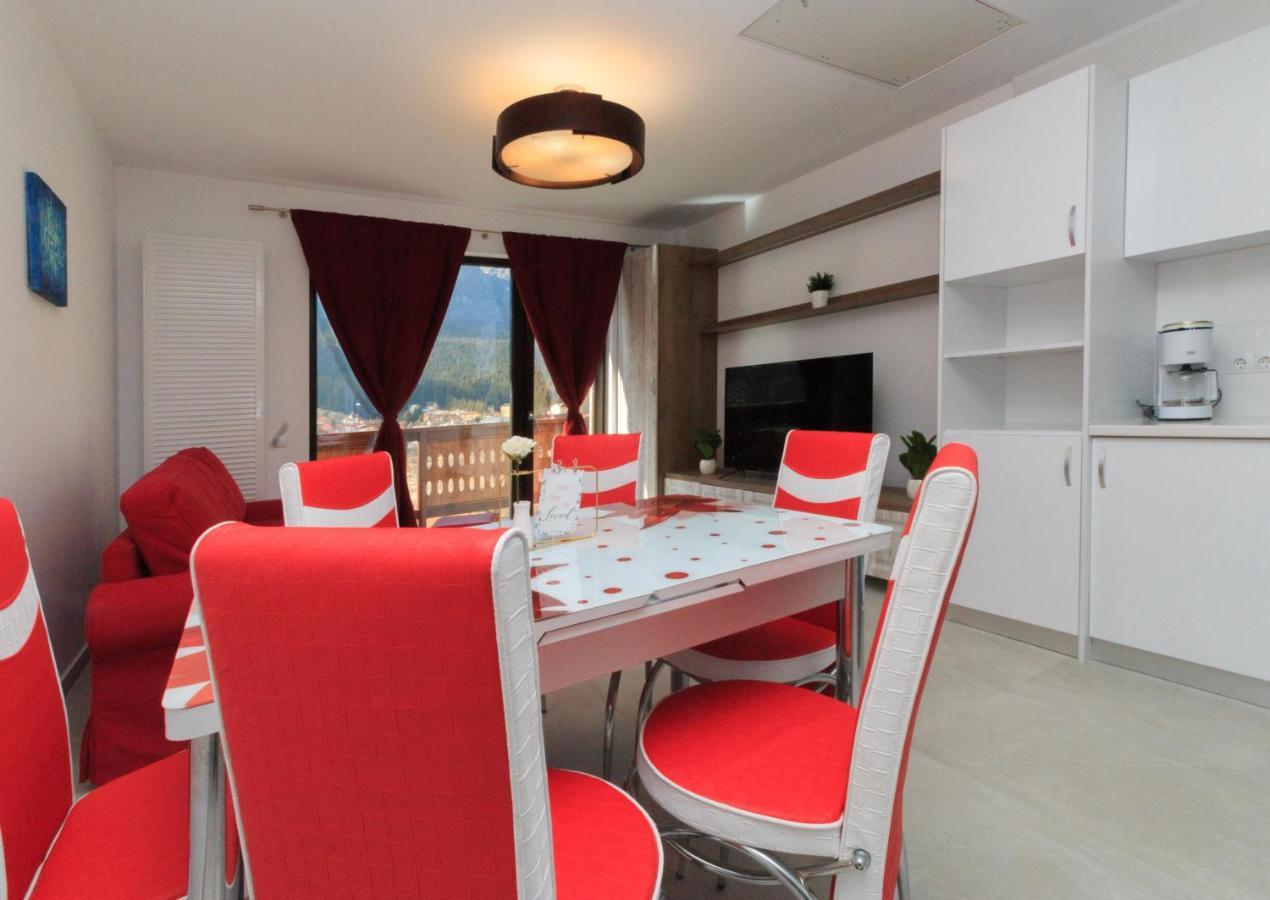 Stars & Mountain Apartment Buşteni Exterior foto